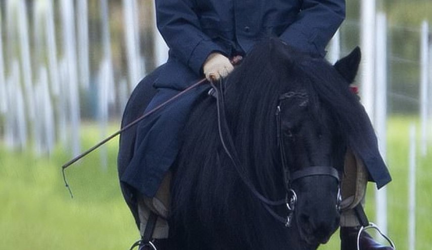 منع الملكة اليزابيث من ركوب الخيل والمشي مع الكلاب!

