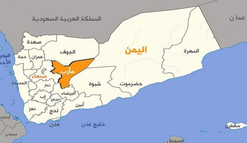 صحيفة أسترالية: إلى أي محافظة سيتجه الجيش واللجان بعد مأرب؟