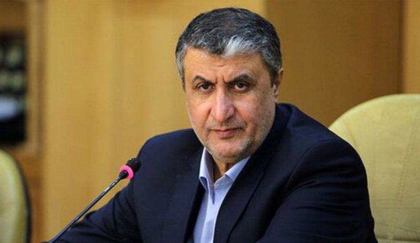 رئيس منظمة الطاقة الذرية يزور مشروع 