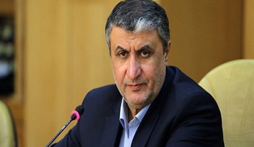 رئيس منظمة الطاقة الذرية: على