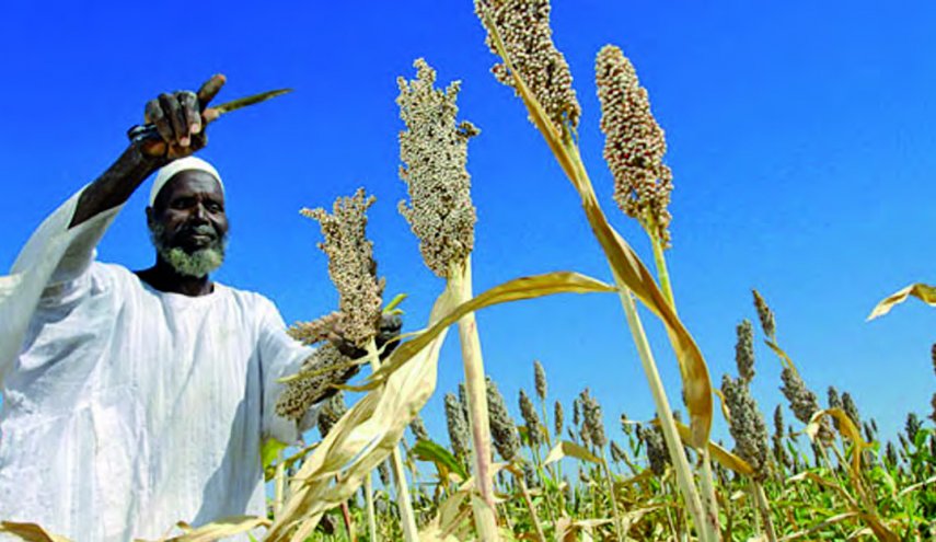 السودان يترقب تعزيز التعاون مع السعودية