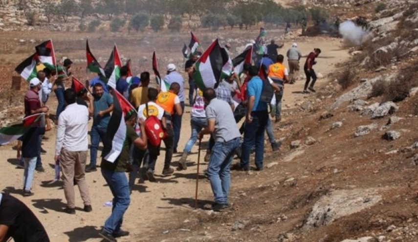 دستکم 53 فلسطینی در حمله نظامیان صهیونیست آسیب دیدند
