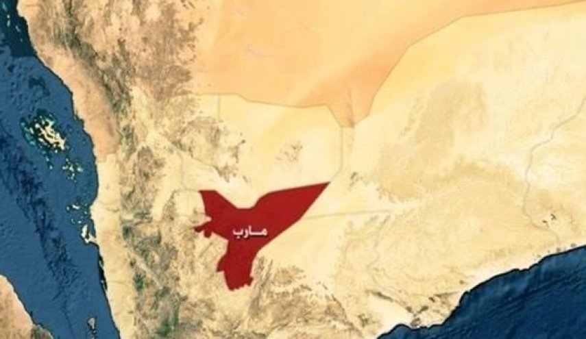 مقتل قائد كبير في ميليشيات منصور هادي في جنوب مأرب
