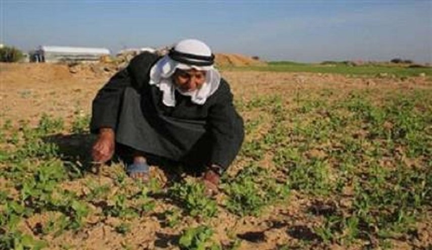 اجراء هولندي ضد فلسطين 