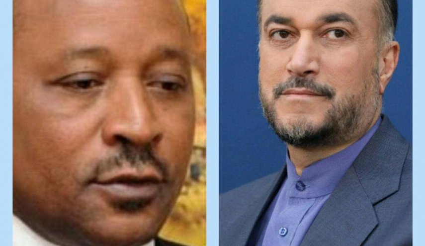 گفتگوی تلفنی وزرای خارجه ایران و نیجر