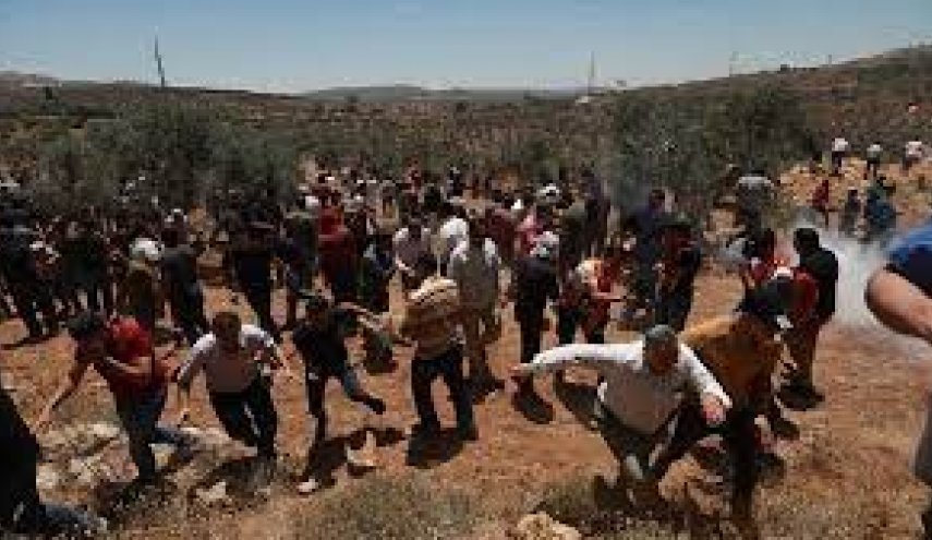 دعوات فلسطينية للتصدي لمسيرات المستوطنين في الضفة