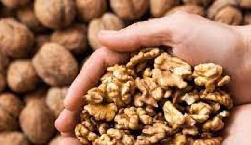 تناول حفنة من الجوز يومياً وراقب ما سيحدث.. لن تتوقع