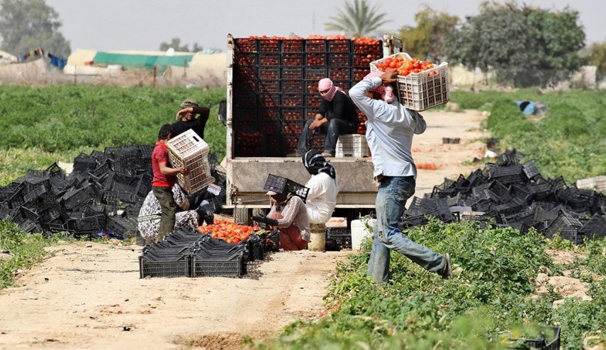 الاردن اصدر في 2021 عددا قياسيا من تصاريح العمل للسوريين