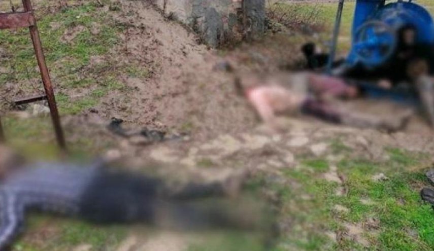 تركيا: ارتفاع عدد المهاجرين الذين توفوا جراء البرد عند حدود اليونان إلى 19 قتيلا