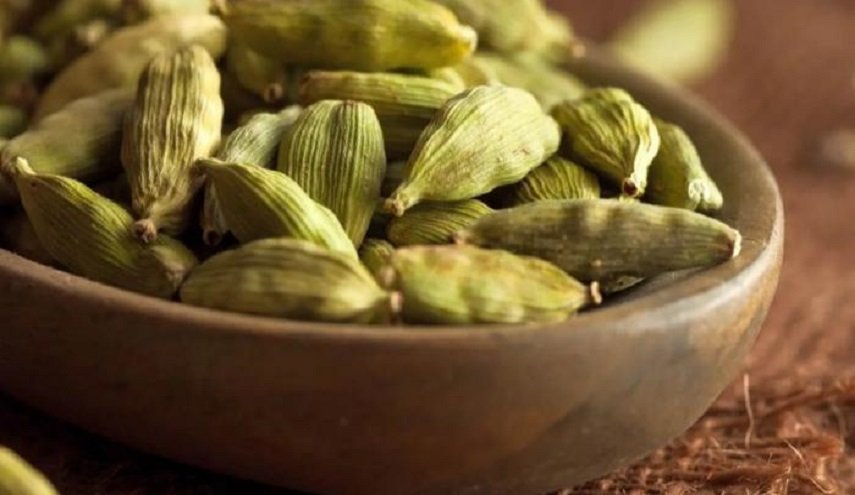 بذور 