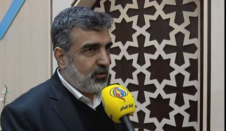 المتحدث باسم الطاقة الذرية الإيرانية يتوجه الى فيينا

