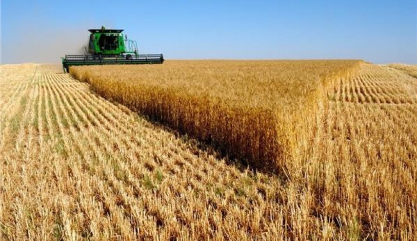 أمريكا تدعو الهند لإعادة النظر في قرار حظر تصدير القمح