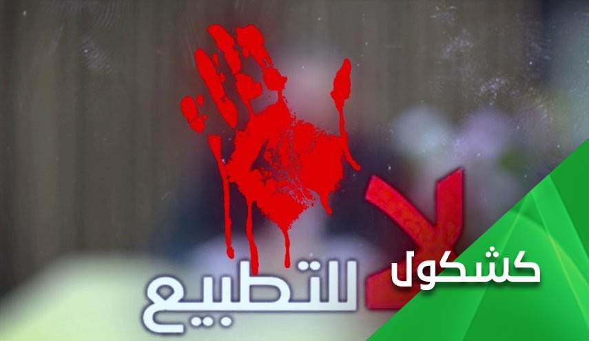 لماذا لا تضم الأنظمة التطبيعية 