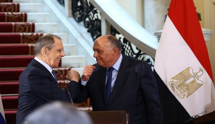 مصر: دول جامعة الدول العربية مستعدة للوساطة بين روسيا وأوكرانيا