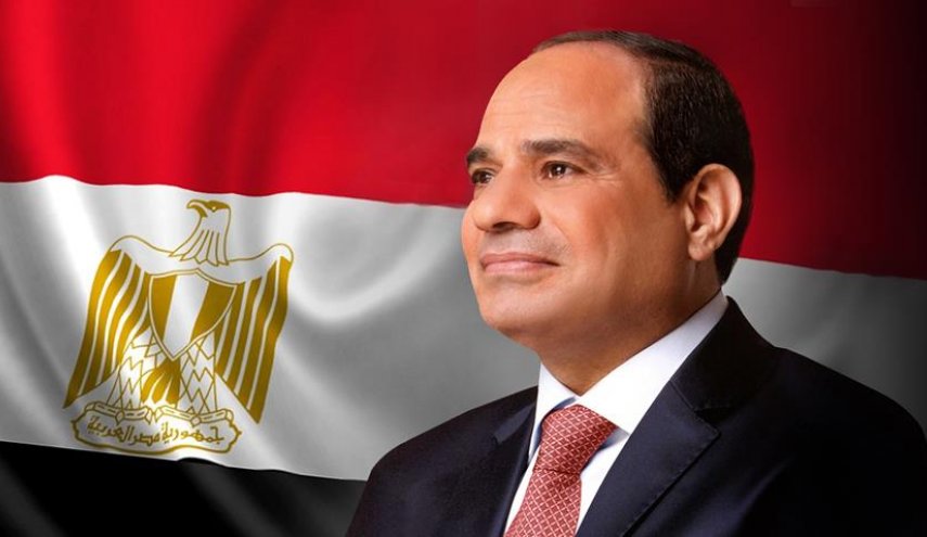 مصر تسرع وتيرة توريد القمح المحلي اثر أزمة اوكرانيا