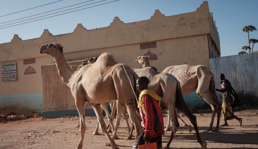 15 مليون شخص يواجهون أزمة إنسانية بسبب الجفاف في القرن الإفريقي