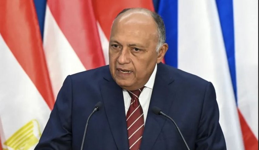 وزير الخارجية المصري يبحث العلاقات الاستراتيجية مع أمريكا في واشنطن