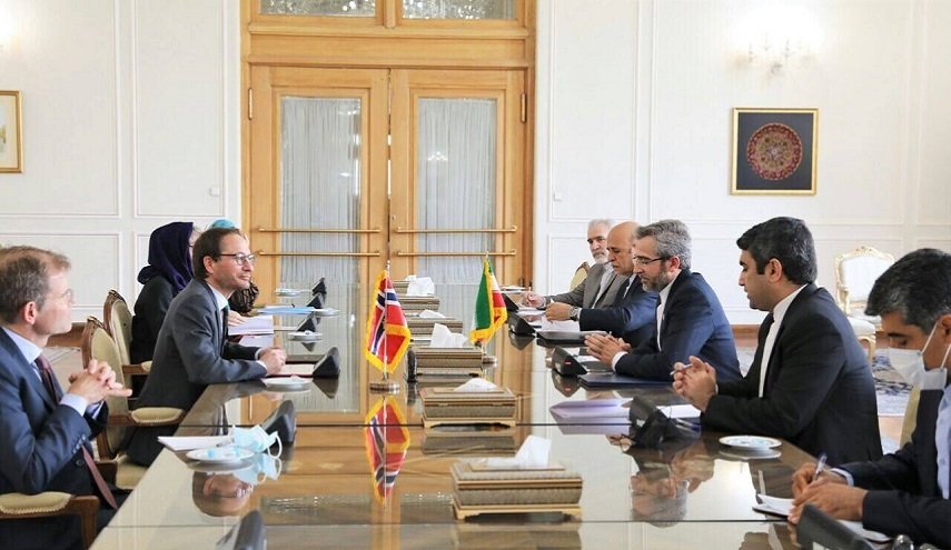 نائب وزير الخارجية النرويجي يجتمع مع علي باقري كني