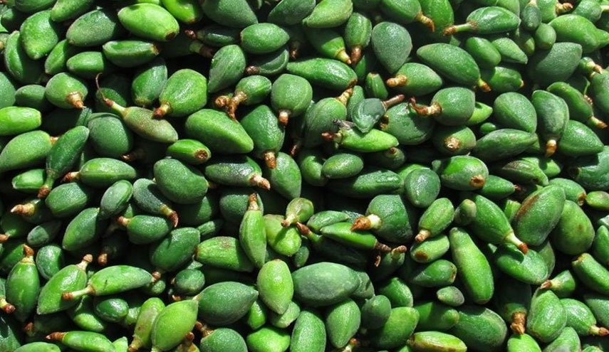 ما هي فوائد اللوز الأخضر؟