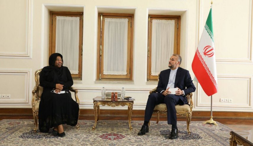 عبداللهيان: ايران بصدد تطوير العلاقات مع الدول الافريقية

