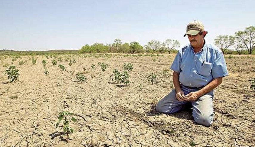 ارتفاع اسعار الحليب في المغرب بسبب الجفاف