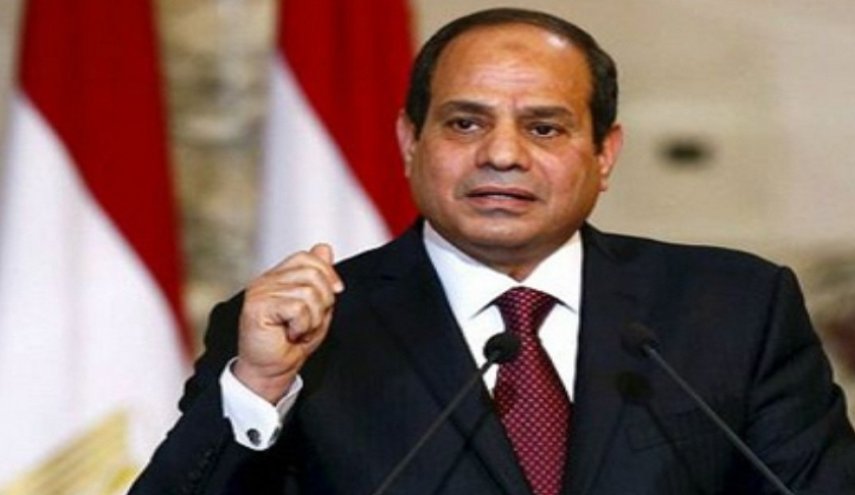 السيسي: 'علينا في العالم العربي أن نحمي بلداننا'