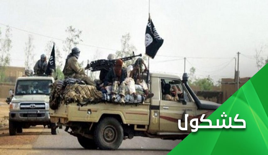 قتلى القاعدة وفضيحة المدافعين عن 