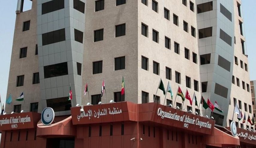 منظمة 