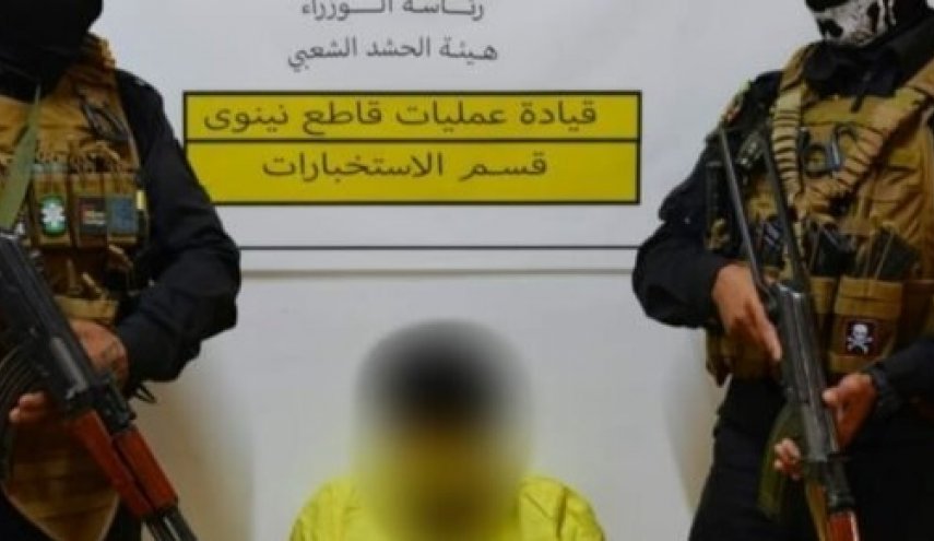 الحشد الشعبي يطيح بإرهابي في الموصل
