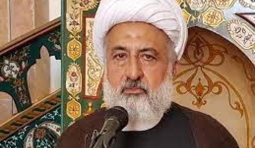 المجلس الإسلامي الشيعي في لبنان : المقاومة هي ورقة القوة للبلاد