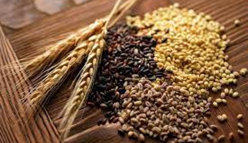 العراق أكبر مستورد للحبوب التركية