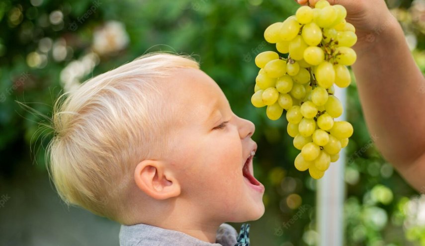 أكل العنب يقلل من خطر الإصابة بـ