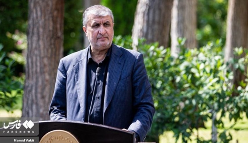 إسلامي: الفريق الايراني المفاوض التزم كل الخطوط الحمراء