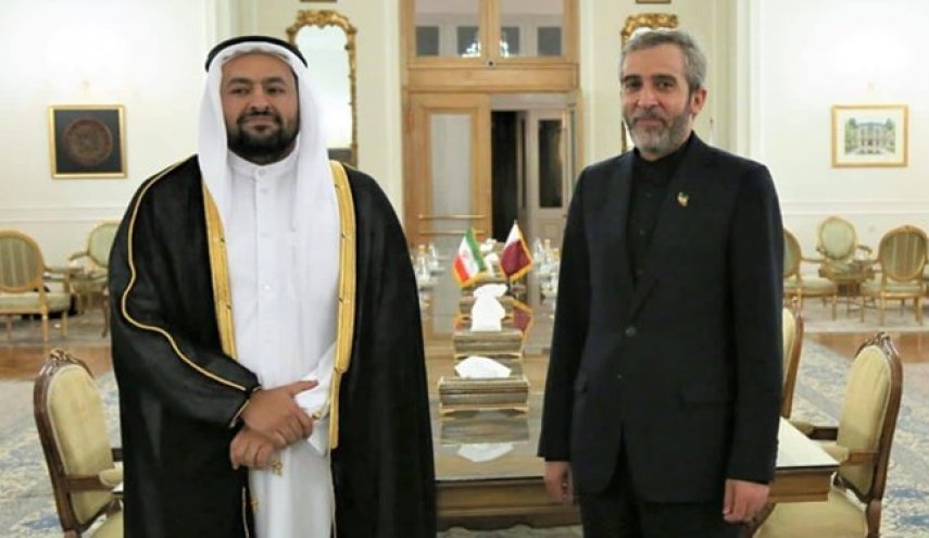باقري كني: الحکومة تعمل على تعزیز التعاون الإقليمي في اطار سياسة الحوار
