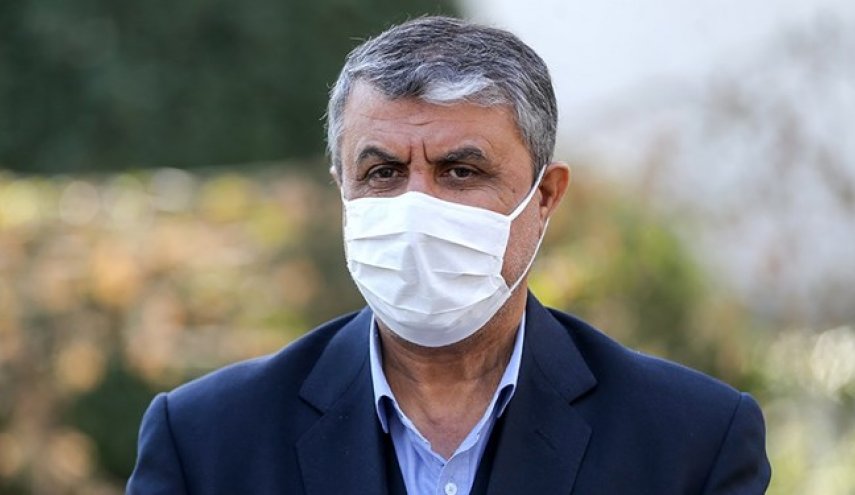 رئیس سازمان انرژی اتمی وارد وین شد