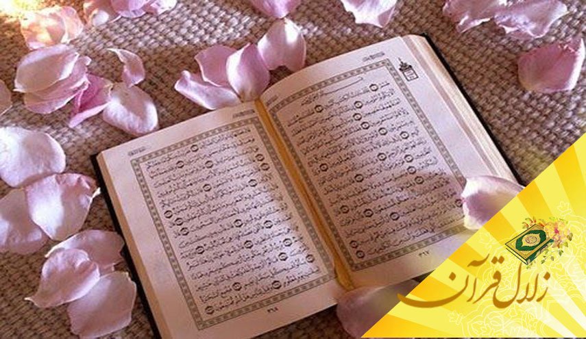 حکم ربوبیت الهی چگونه در مورد مخلوقات اجرا می شود؟ 