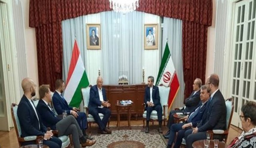 باقري: الأوروبيون أدركوا أن فرض الحظر له ضريبة أيضا
