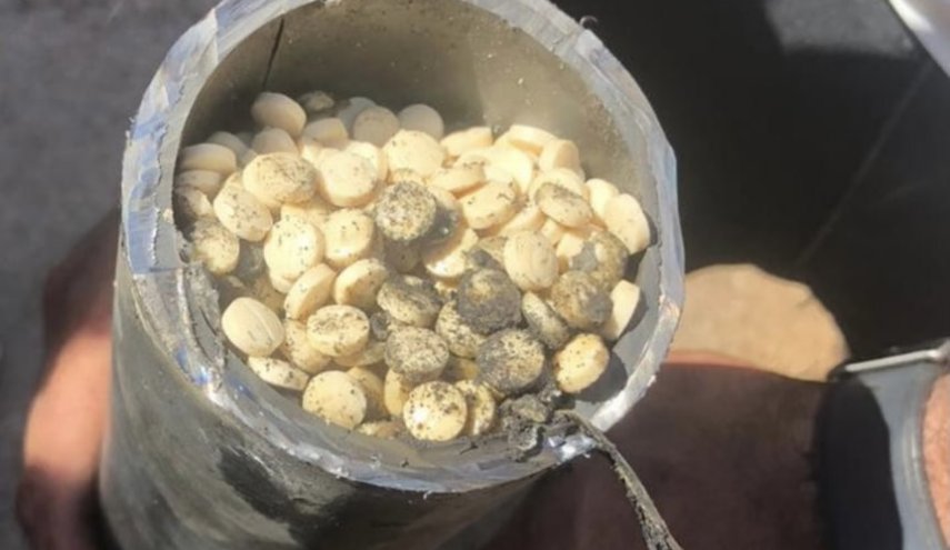 لبنان.. ضبط كمية هائلة من 