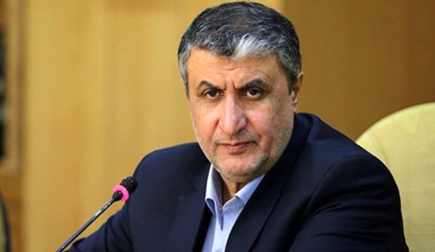 إسلامي: بدأنا توطين المفاعلات والوحدتان 2 و 3 من محطة بوشهر قيد التنفيذ