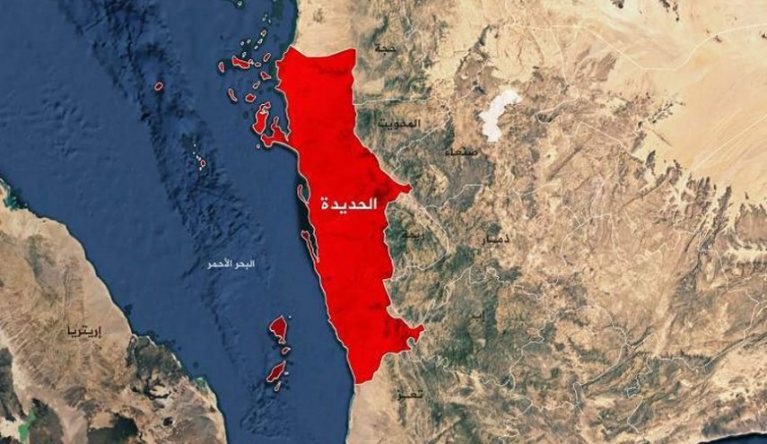 مليشيا تابعة للإمارات تعتدي على امرأة في منزلها بمديرية الخوخة