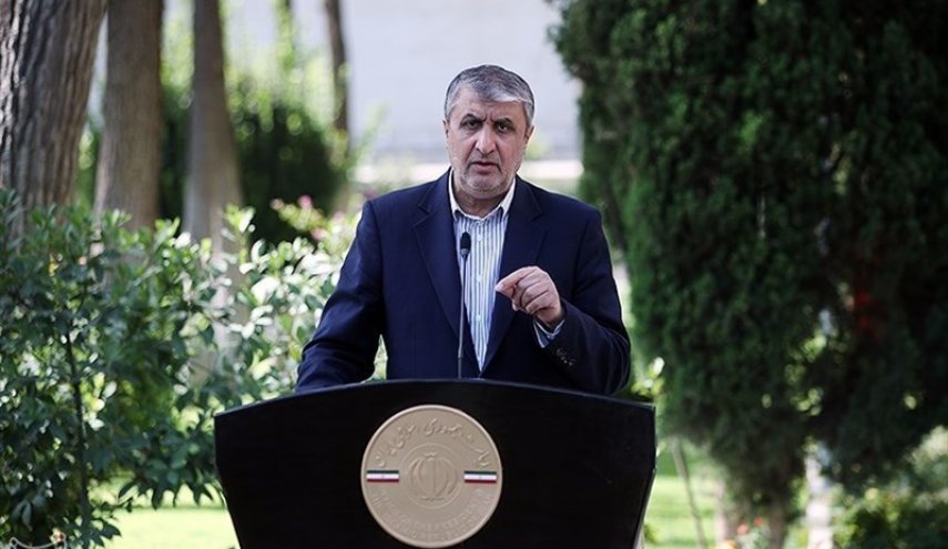 اسلامی: حرکت پرسرعت و پرشتاب به‌سمت توسعه نیروگاه‌های اتمی آغاز شد/ سهم انرژی هسته‌ای در سبد برق کشور باید به ۲۰درصد برسد