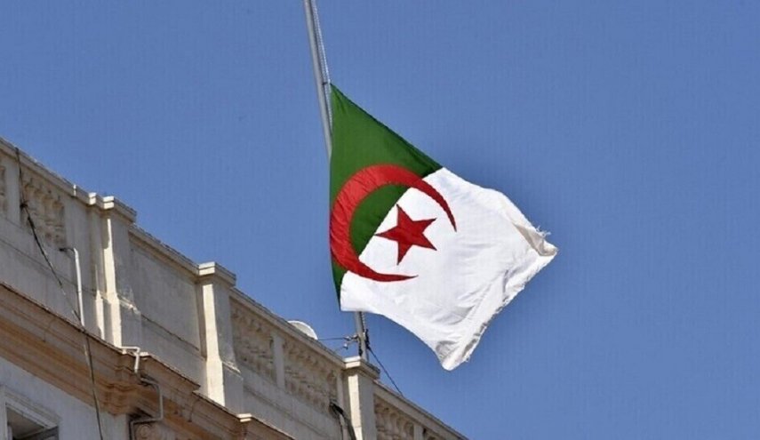 الجزائر/بيع لحوم القطط على أساس أنها أرانب