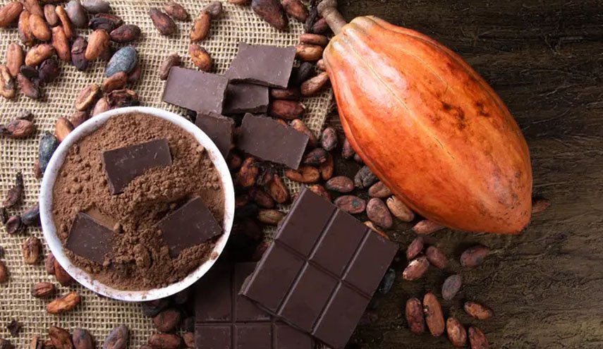 كيف تذوب الشوكولاتة في فمنا؟