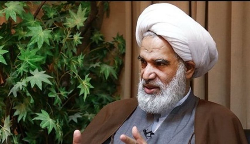 عضو مجلس خبراء القيادة: تحرك أوروبا منصة لأعمال إرهابية ضد الشعب الإيراني