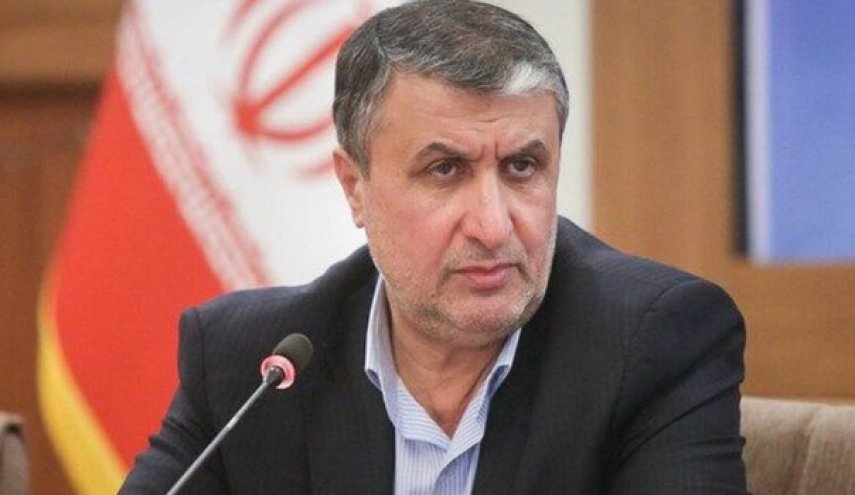 إسلامي: على الوكالة الدولية للطاقة الذرية ان تتصرف بمهنية