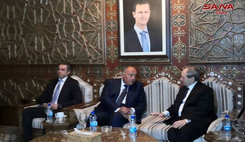 فيصل المقداد يستقبل سامح شكري في مطار دمشق الدولي