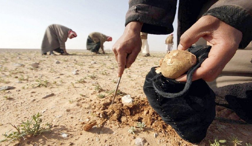 'داعش' يقتل 15 شخصا أثناء جمعهم الكمأة وسط سوريا