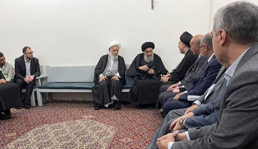 السيد السيستاني يستقبل جمعاً من اطباء النجف ويشيد بجهودهم في علاج المرضى + صور