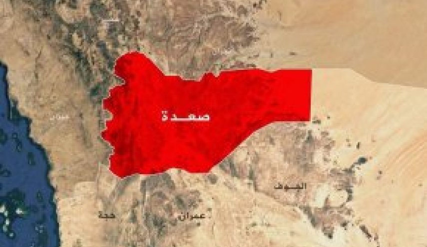 53 خرقا لقوى العدوان في الحديدة