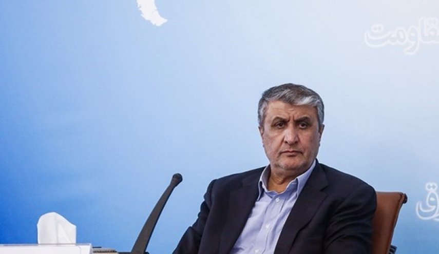 اسلامي: منظمة الطاقة الذرية حققت 159 انجازا مهما في مختلف المجالات